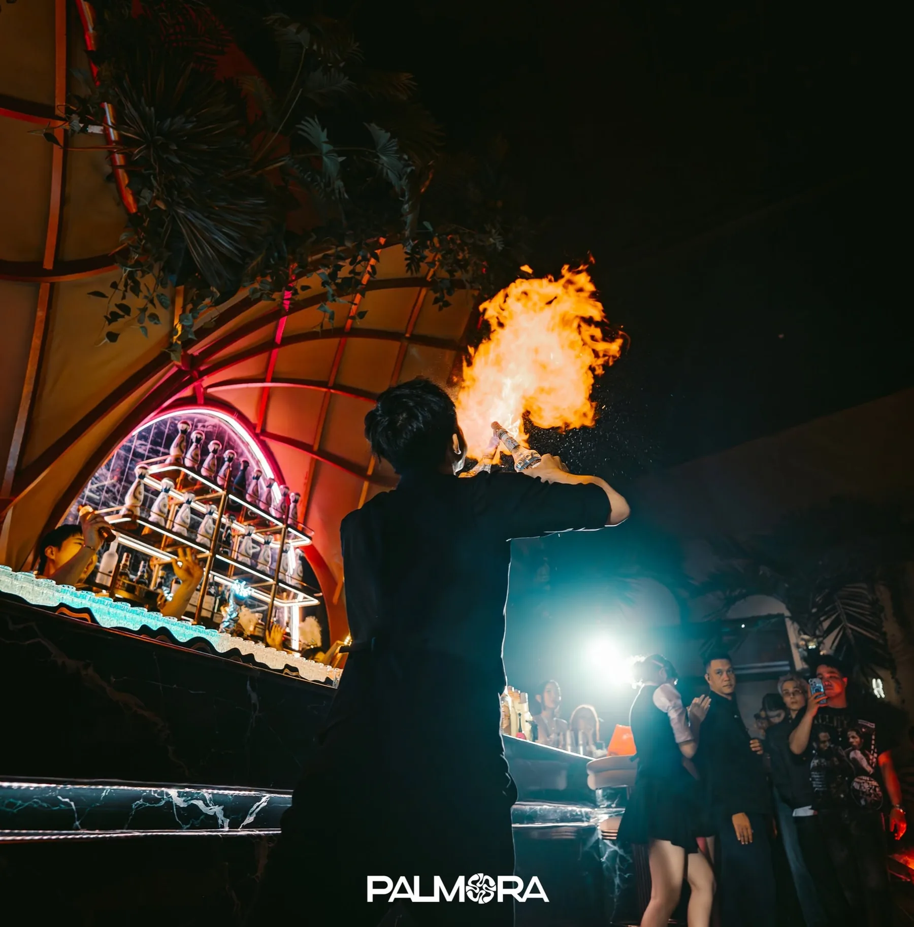 Nightlife stage and DJ performance at Palmora
